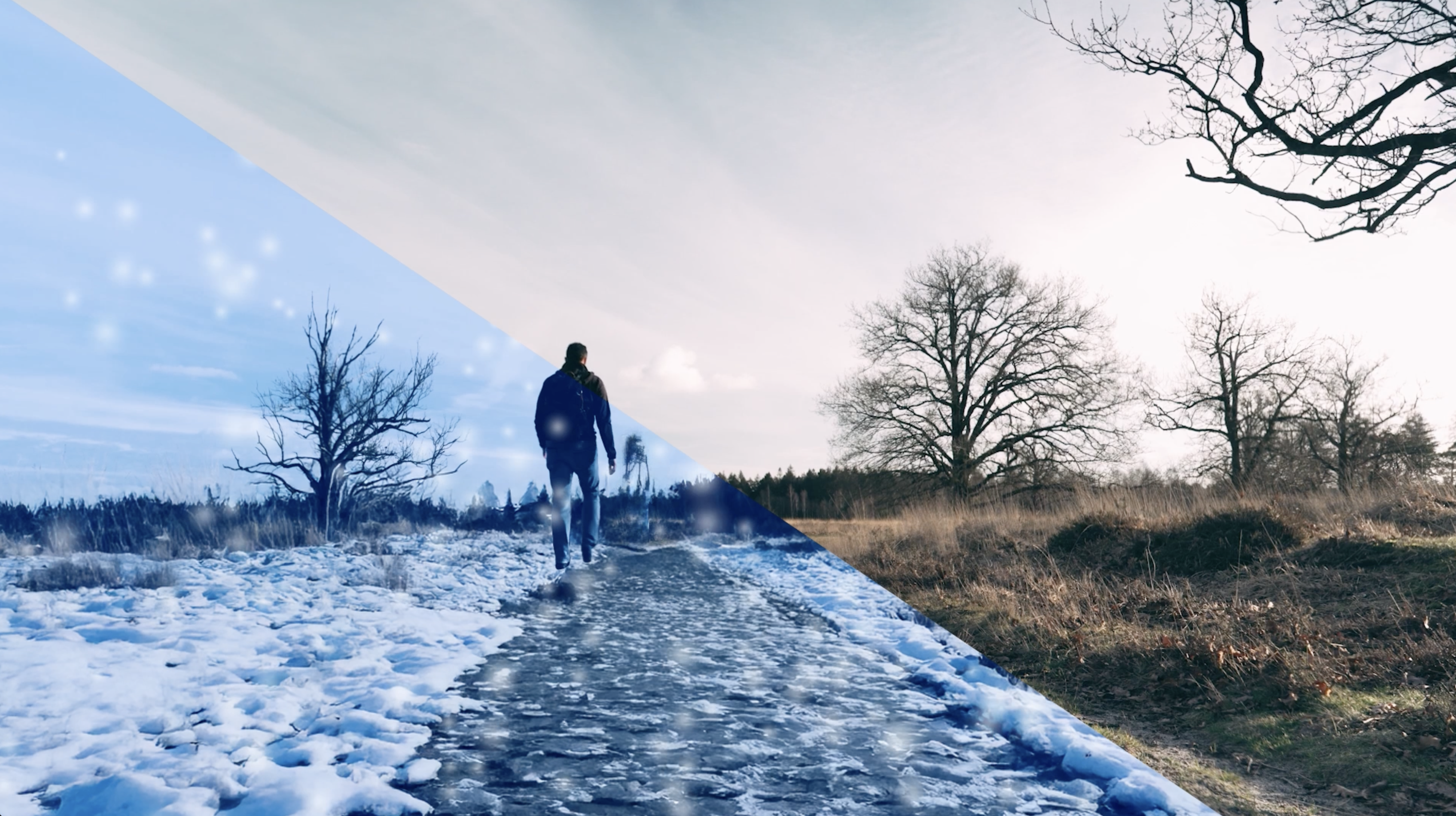 Preview of Loop Earplugs project